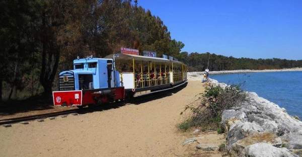 Le Petit train de Saint Trojan sur l'île d'Oléron