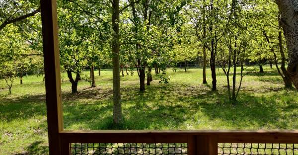 ᐃ LE MONTET D'OLERON *** : Campsite France Oleron island