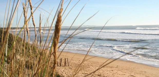  the wild coast of the oléron island in france