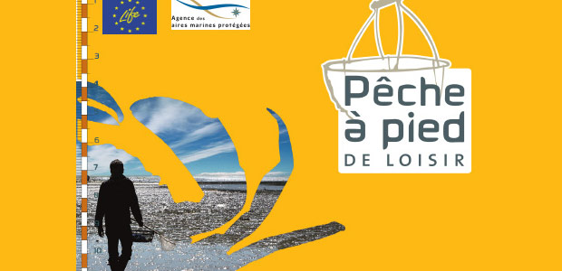  shellfish fishing on the island of oleron