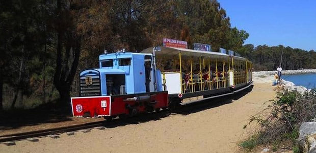  the little train of saint-trojan-les-bains