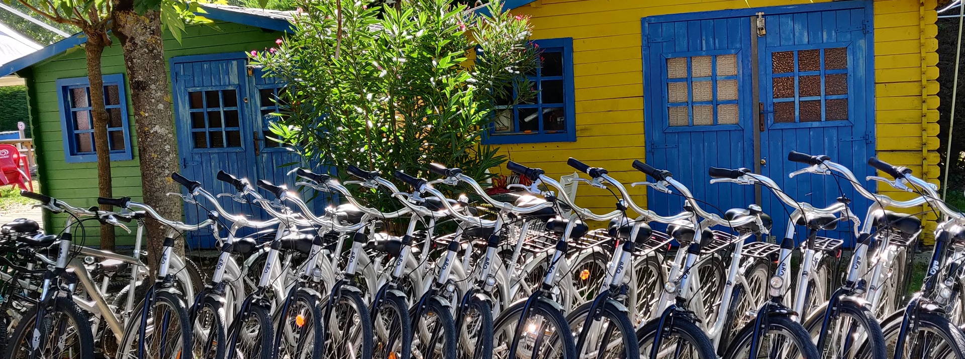 Bicycle rental for your biking trips on the Oléron island