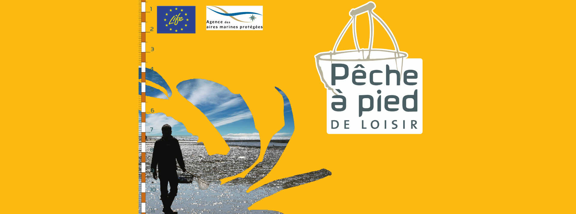 Shellfish fishing on the island of Oleron