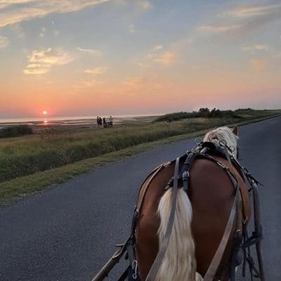sunset view